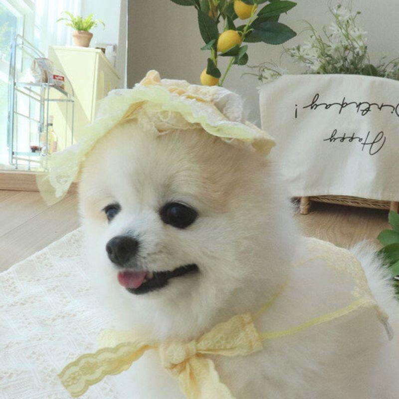 Haneul Mung Mung Tinker Bell Lace Cape