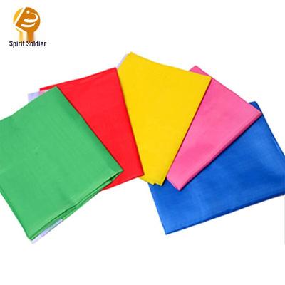 Lingbing Outdoor Advertising Flags (10-Pack)