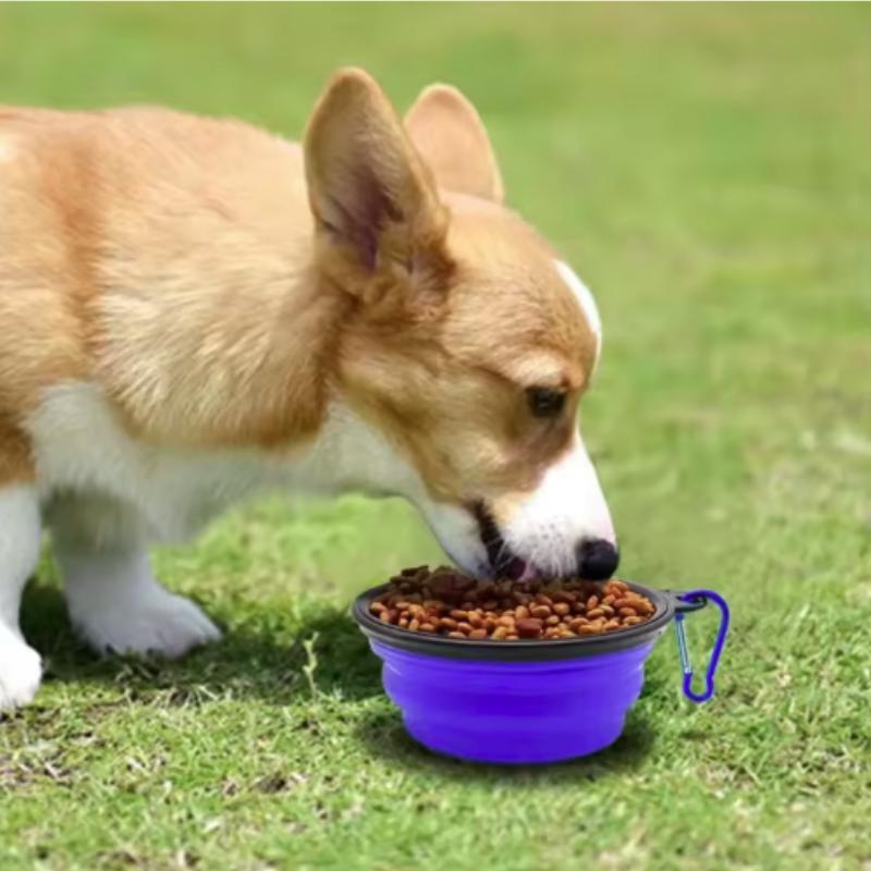 Folding Portable Silicone Dog Feeder Bowl 2-in-1 Pet Dispenser with Carabiner for Outdoor Travel Food And Water Container for Do