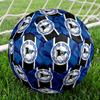 1 Stück DSC Arminia Bielefeld Fußball Größe 5 Indoor-Fußball Mode Bunt Hinterhofspiel - Großartig für Sportfans Geschenk HE31