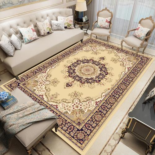 Modern Chinese Living Room Persian Carpet Simple Bedroom Decoration Area Rug Large Porch Door Mat Absorbent Non-slip Bath Mat