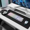 Periferice pentru calculatoare – Tastaturi