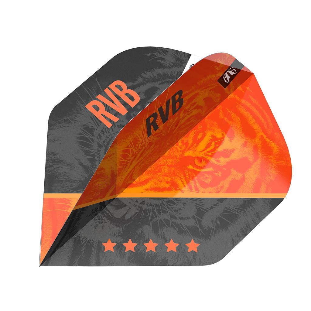 Target Darts Raymond Van Barneveld RVB 95 Gen 4 20G Tungsten Soft Tip Dart Set 95%