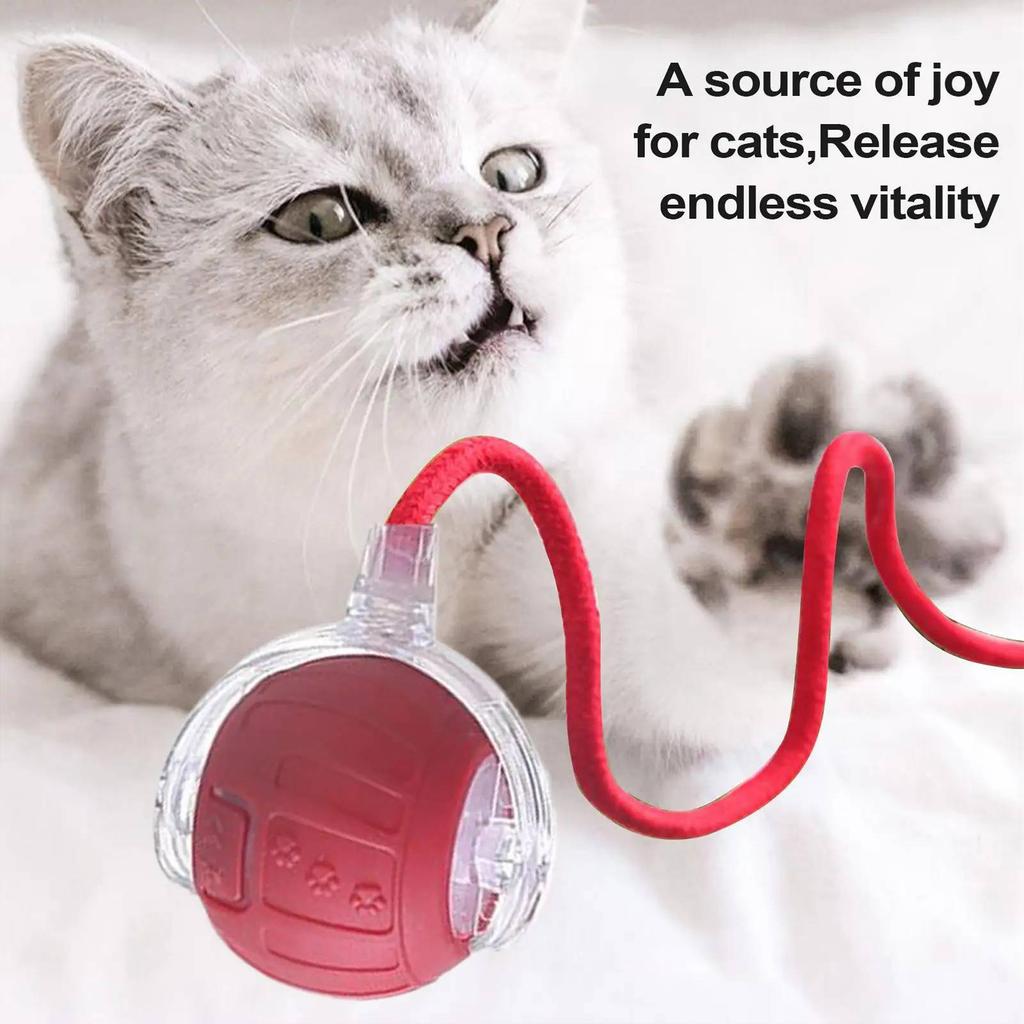 Interactive Cat Toy Ball with Tail Automatic Rolling Ball Fun Exercise Toys for Small/Medium/Large Cats To Keep Them Busy