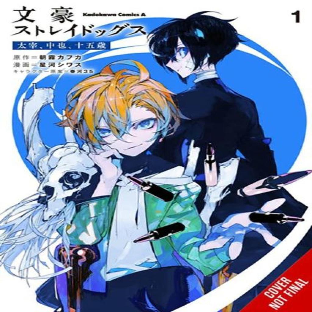 Bungo Stray Dogs Dazai Chuuya Age Fifteen Vol. 1 by Shiwasu Hoshikawa Paperback Book 9781975389444