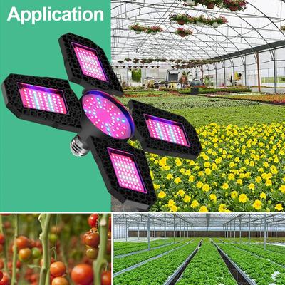 E27/E26 Full Spectrum Phyto Lamp Led Plant Seeds Grow Light Hydroponics Green House Adjustable Illumination Angle Growing Lights