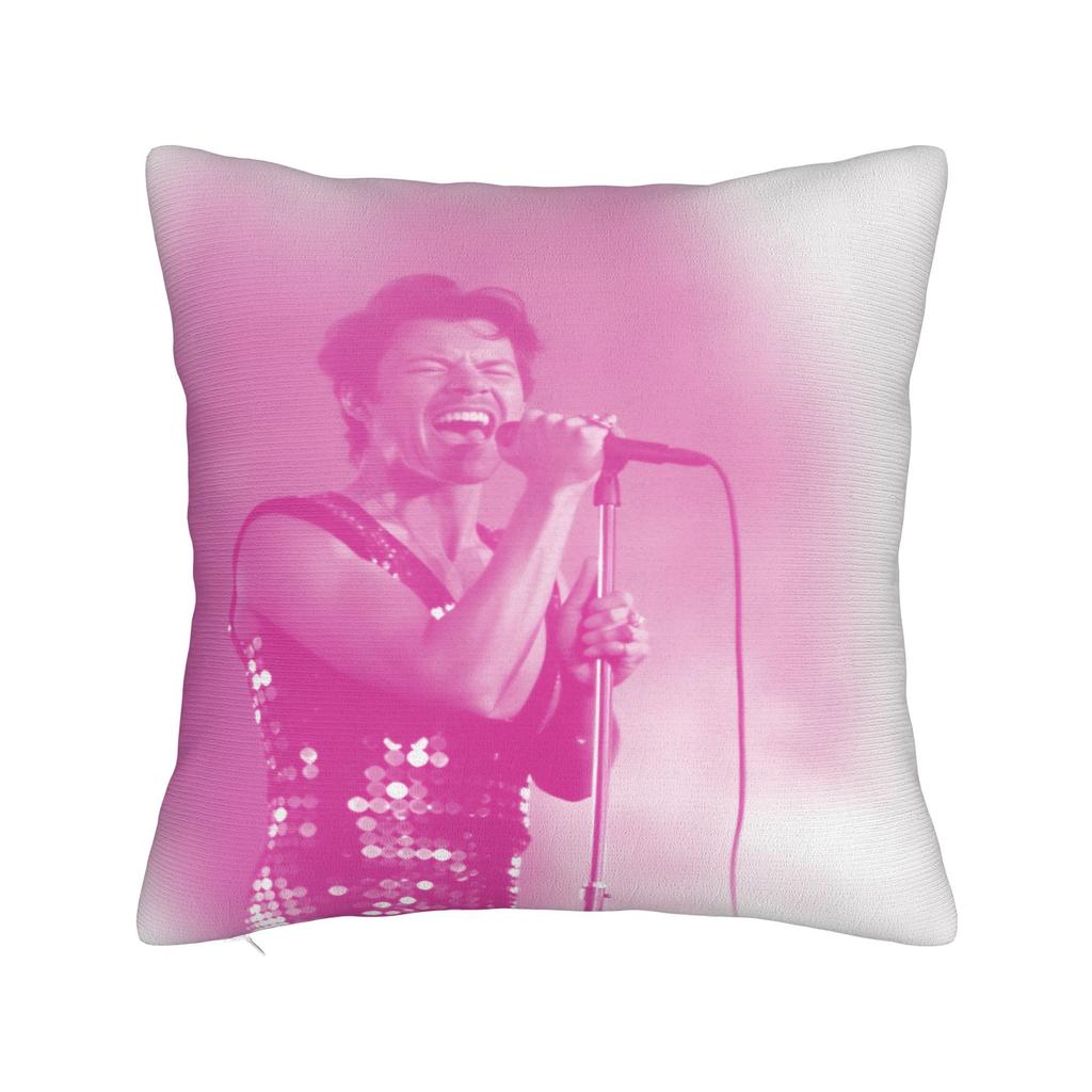 Singer H-Harrys S-Styles Pillow Case  Soft Pillow Cover For Sofa Car Home Decor Funny Cushion Cover