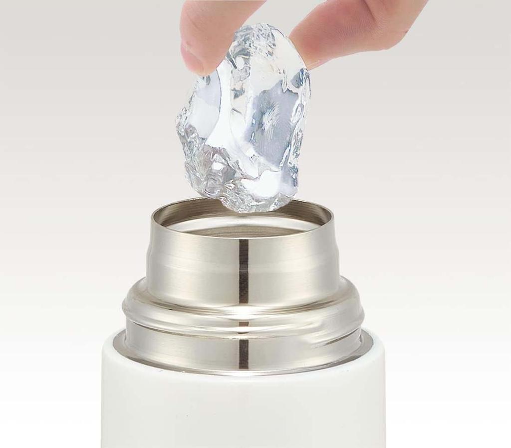 Skater My Neighbor Totoro with Mei 580ml Stainless Steel Sports Water Bottle, Direct Drinking, Studio Jib SDC6N-A