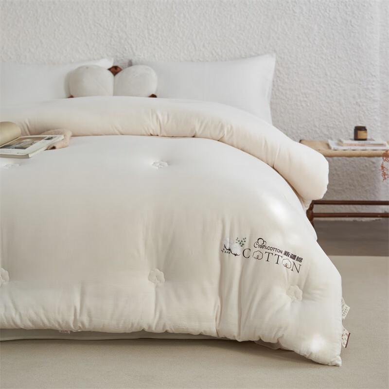 Qixiai Gewaschene Baumwolle aus Xinjiang Ganzjahresdecke