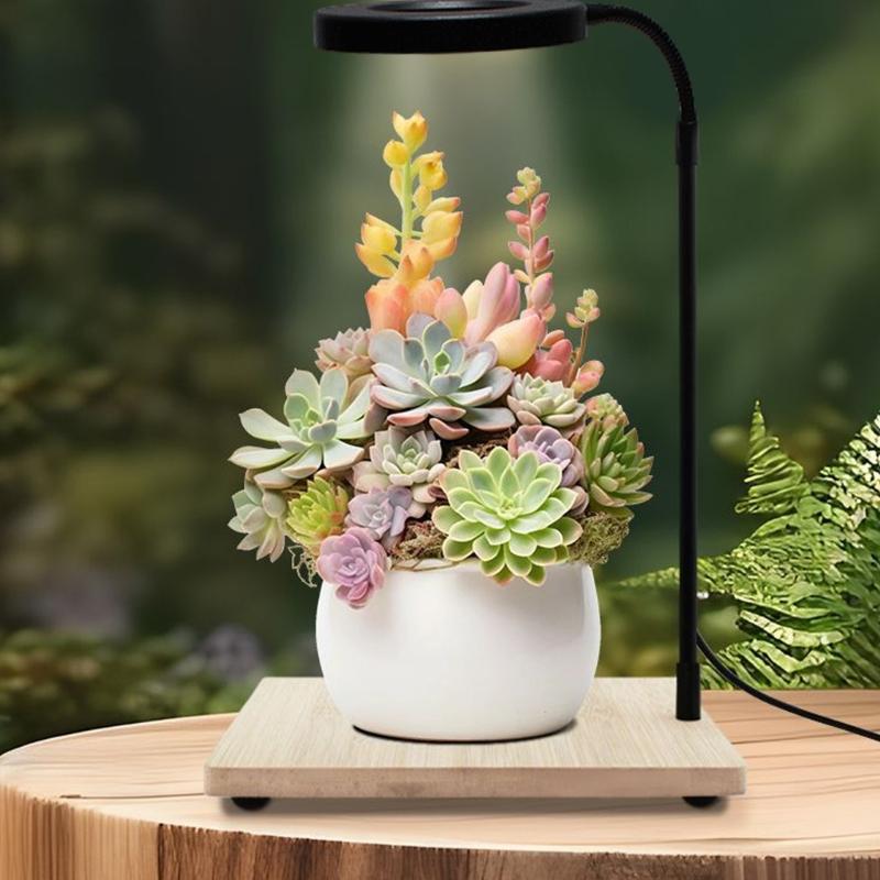 LED-strålkastare Växtlampa Med Roterande Slang Fullspektrumsljus För Små Akvarier Terrarier Suckulenter Display