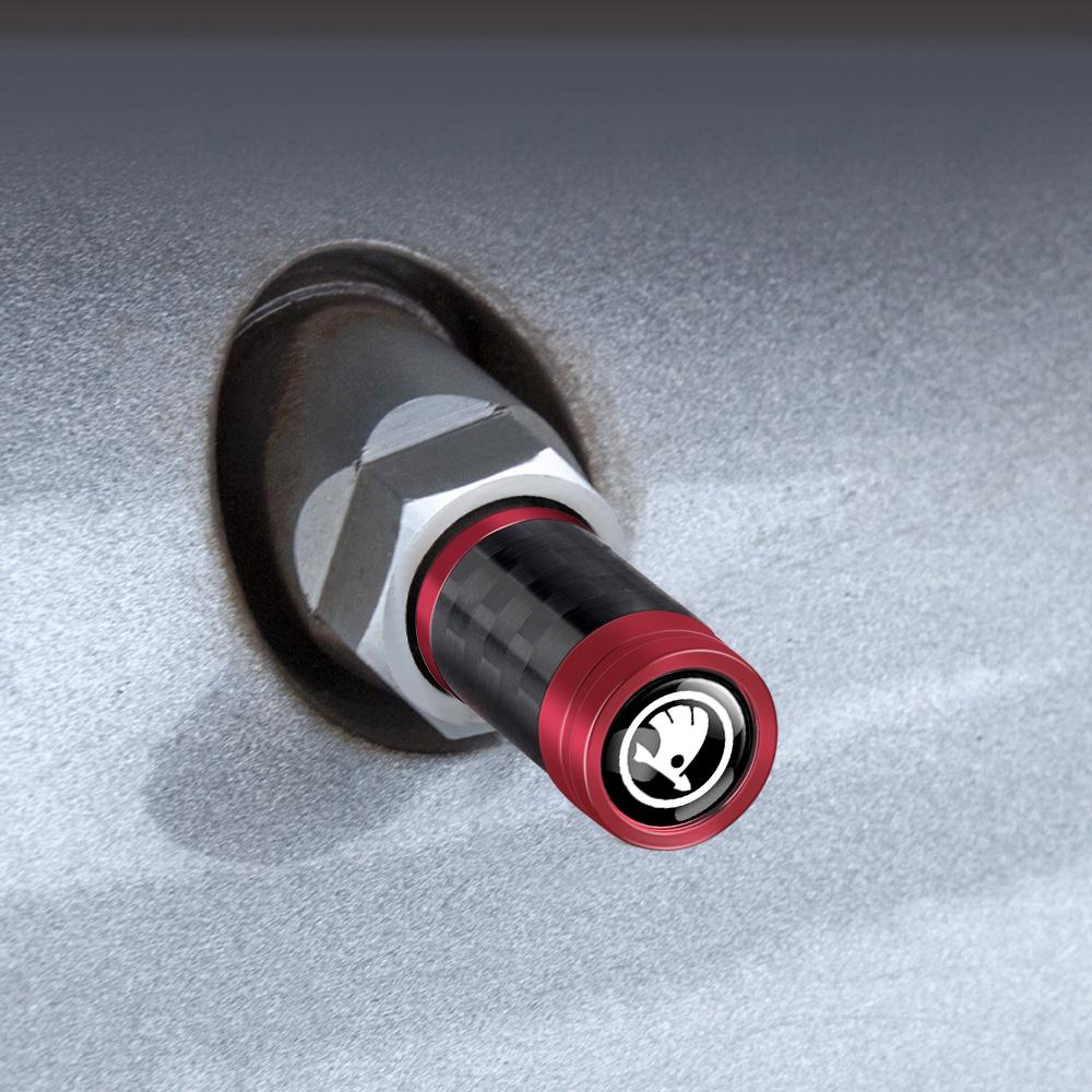 REKP5 4pcs Carbon Fiber Car Styling Wheel Tire Valve Caps Stem Case Auto Exterior Decoration For Skoda Octavia Vision-E Kamiq Fabia S