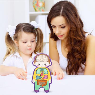 Lidské vnitřní orgány puzzle hra vzdělávací lidské tělo struktura anatomie puzzle deska děti batolata dřevěné části těla přiřazování učení STEM hračka