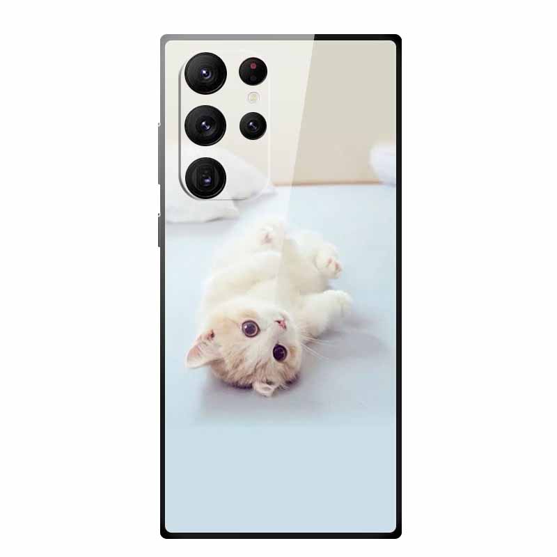 Gehärtetes Glas Case Für Samsung Galaxy S25 Ultra Case S 25 Ultra Hartes Rückseiten Cover Weicher Stoßfänger Für Samsung S23 S22 S24 Ultra Case