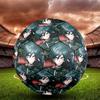 Detective Conan Print Size 5 Soccer Ball, Standard Match Football for Sports Game and Team Practice, Ideal Gift for Soccer Fans