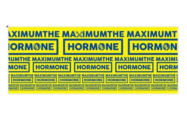 MAXIMUM THE HORMONE ПОЛОТЕНЦЕ KOJARE братан с (Брат Желтый)