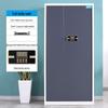 Lieve Office Storage Cabinet with Digital Lock