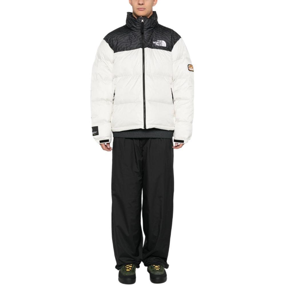 The North Face 1996 Retro Nuptse Jacket Men's NF0A3C8D-5IX