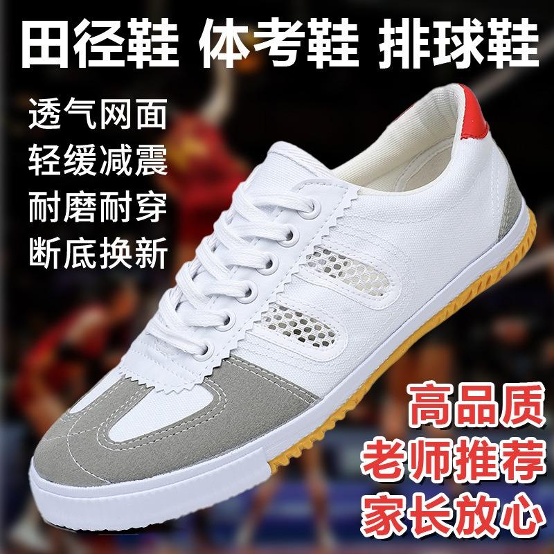 Mesh Volleyball Shoes Running Shoes Lace-up Sports Shoes Casual Shoes Martial Arts Canvas Shoes Track and Field Training Shoes