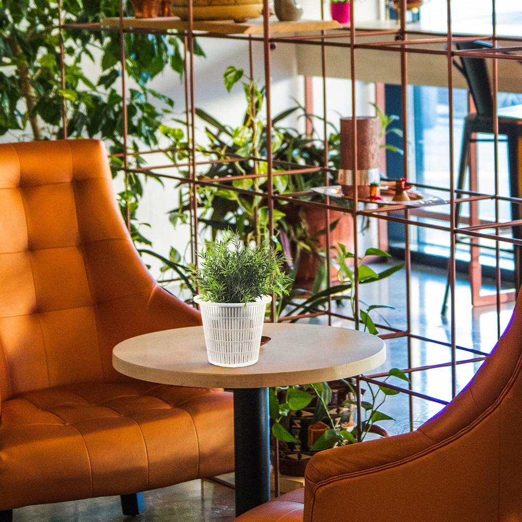 OUNONA Orchid Flower Seedling with Pack of Phalaenopsis Orchid Flower Plant Hydroponic Succulent 14X12cm Pot, Pot, Pot, Transparent, Holes, 10, Pot,