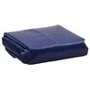 Vidaxl Plandeka, Niebieska, 5X8 M, 600 G/M²
