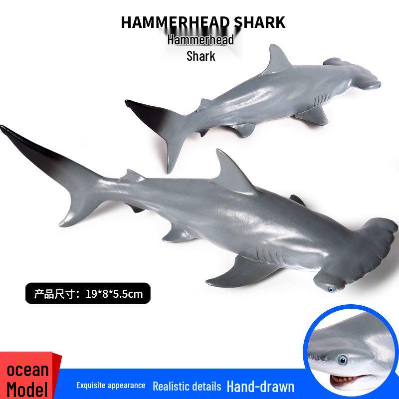 Children s Marine Life Cognitive Toy Set: Hammerhead & Basking Shark Models