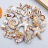 New Acrylic Ocean Conch & Starfish Pendant Charm for DIY Bracelets & Necklaces
