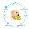 Dog Chew Toys Floating On Water Squeaky Puppy Toys Dog Toothbrush For Small Medium Dogs