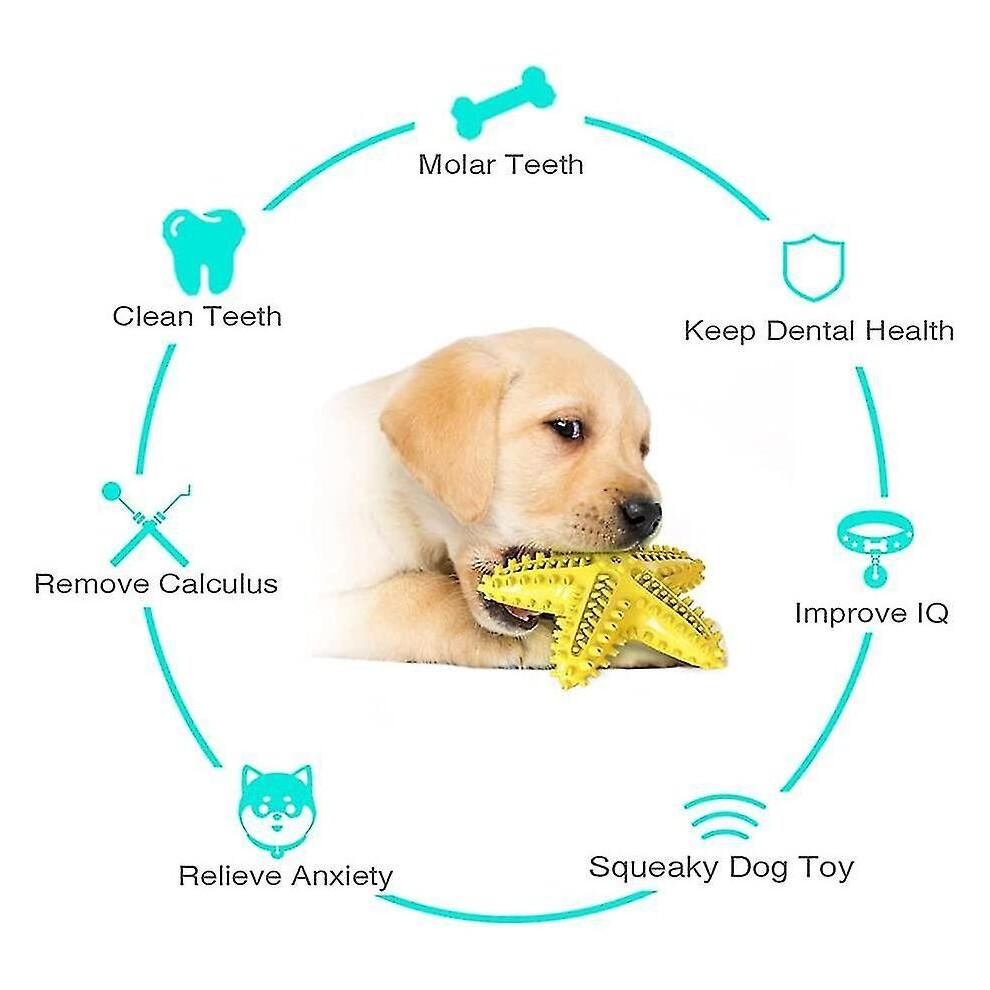 Dog Chew Toys Floating On Water Squeaky Puppy Toys Dog Toothbrush For Small Medium Dogs