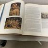 [USED] Mikatakin 100th Anniversary Publication National Geography English