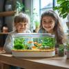 Artificial Green Plant Ornament Aquarium Decoration For Aquarium