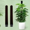 Ventilate Climbing Plant Stand Plastic Flower Pots Stand Potted Plant Holder Indoor Plant Use