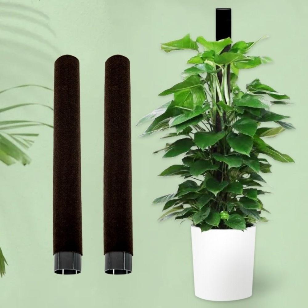 Ventilate Climbing Plant Stand Plastic Potted Plant Holder Climbing Vine Pillar Indoor Plant Use