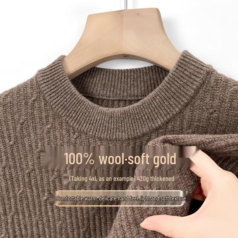 Pierre Cardin Men's Thickened Pure Wool Crew Neck Knit Sweater