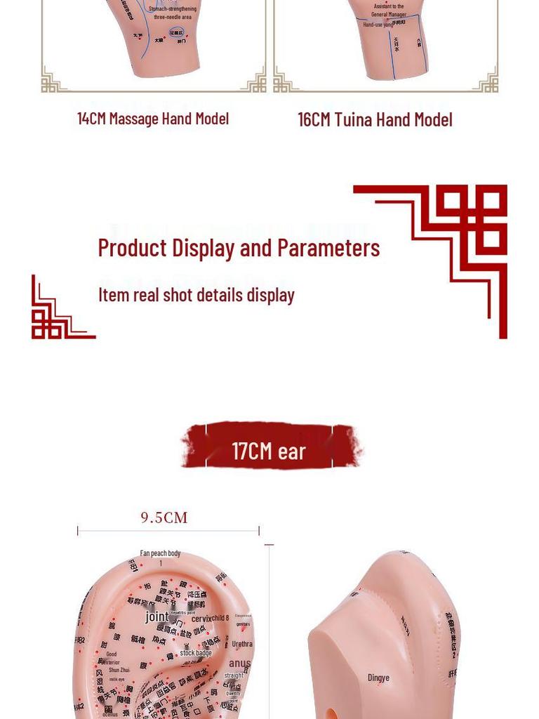 Diagrama Reflexologiei Piciorului, Urechii și Mâinii - Ghid de Masaj Acupuncte și Meridiane