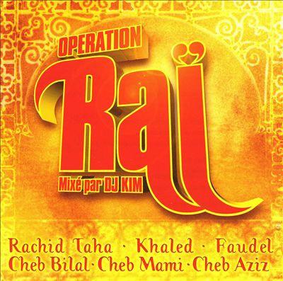 

CD VARIOUS - Operation Raï 0927483532 Embuscade 2002 France World Music Used