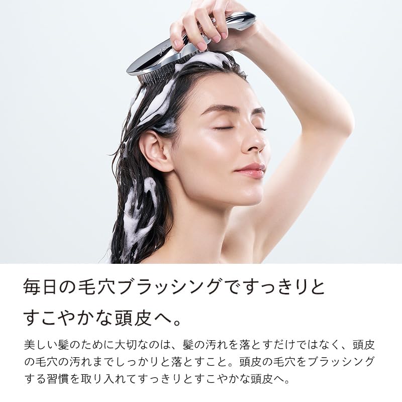 Store ReFa ION CARE BRUSH with shopping bag [Official Exclusive]