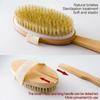 Detachable Shower Brush for The Back Bathroom Brush Back Dry Brushing Body Body Exfoliating Massage Shower