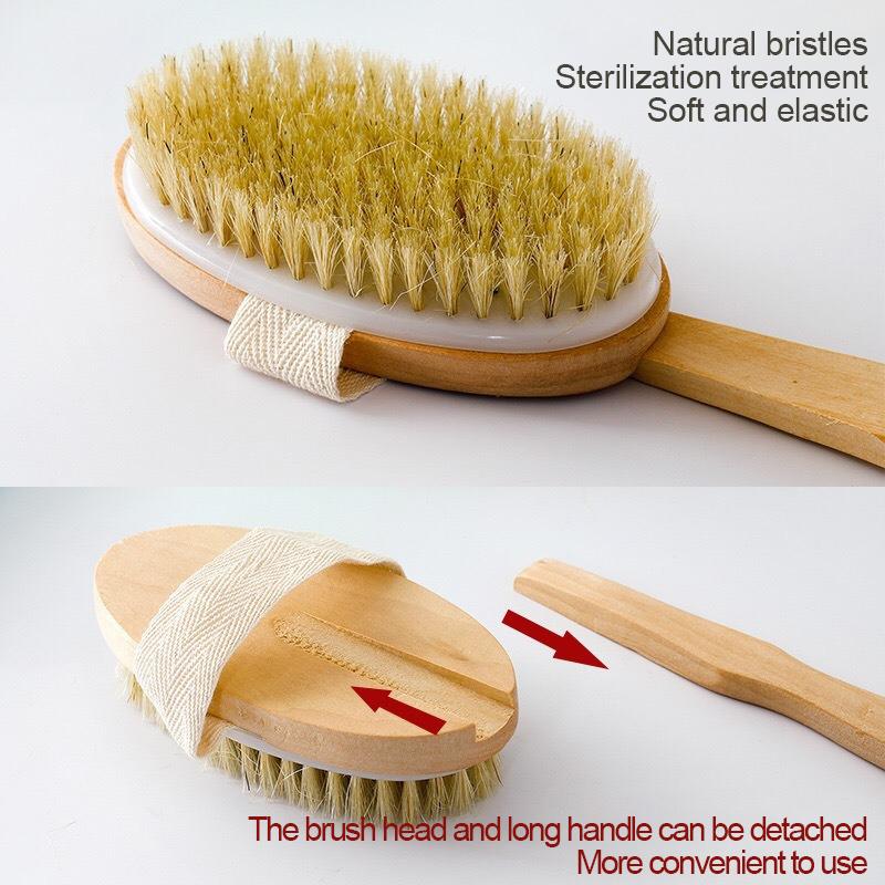 Detachable Shower Brush for The Back Bathroom Brush Back Dry Brushing Body Body Exfoliating Massage Shower