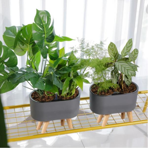 Self Watering Planter Simple Aloe Small Plants Planter Flowerpot Decor