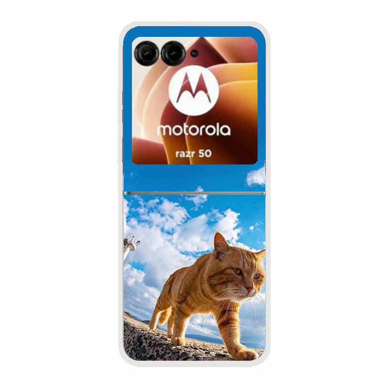 For Motorola Razr 50 Ultra Case Plastic Hard Painted Cartoon Transparent Back Cover Case for Motorola Razr 50 5G Hard PC Case 50