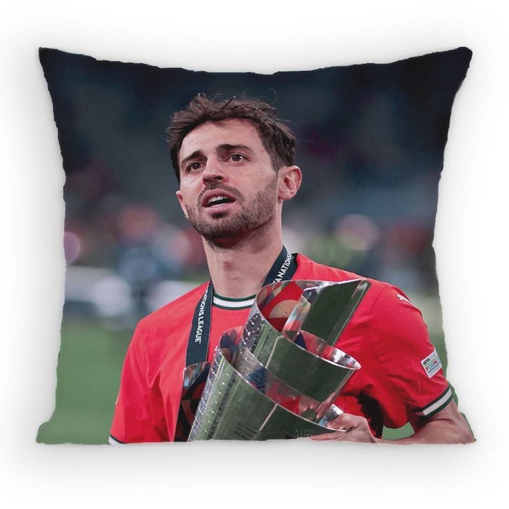 BBernardo SSilva  MidCourt Pillow Case Antidustmite Pillowcase Invisible Zipper Silky Short Plush Sofa Cushion Cover