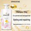 Pantene PRO-V Perm & Dye Repair Shampoo