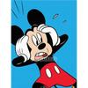 Disney Schloss Mickey Minnie 5D Diamantmalerei Voller Diamanten DIY Handgemachte Diamantmalerei Cartoon Animation Dekoratives Malerei-Set