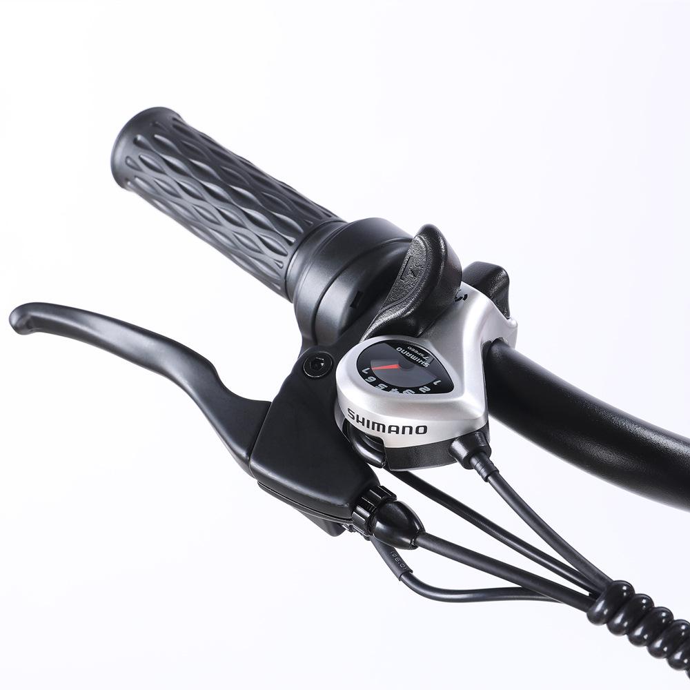 Electric Assist Tricycle for Cross-border E-commerce Delivery
