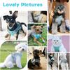 Breathable Dog Harness with Leash Adjustable Anti Escape Puppy Cat Harness Set for Small Medium Pets Yorkshire Pet Accessories