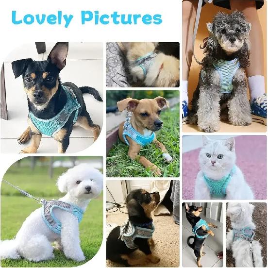 Breathable Dog Harness with Leash Adjustable Anti Escape Puppy Cat Harness Set for Small Medium Pets Yorkshire Pet Accessories