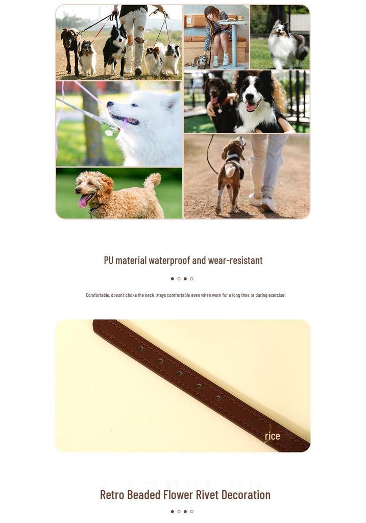 Carefully Selected PU Leather Pet Collar with Pearlescent Rivets and Gold Buckle for Small Dogs Like Teddy and Pomeranian