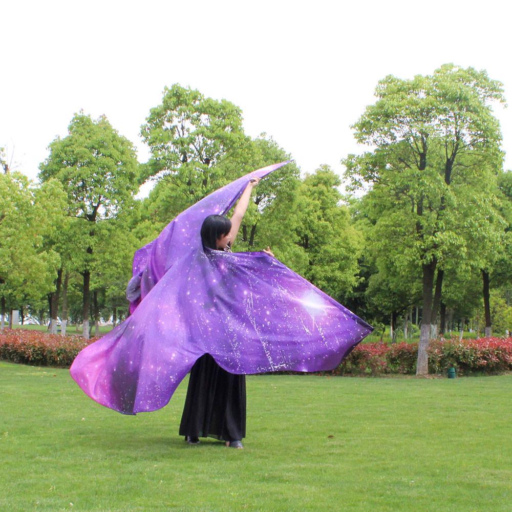 Egypt Belly  Dancing Costume Butterfly  Dance Accessories No Sticks