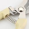 Stainless Steel Pruning Shears for Fruit, Flower, and Branch Gardening