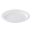 Lesanha Biodegradable Paper Plates
